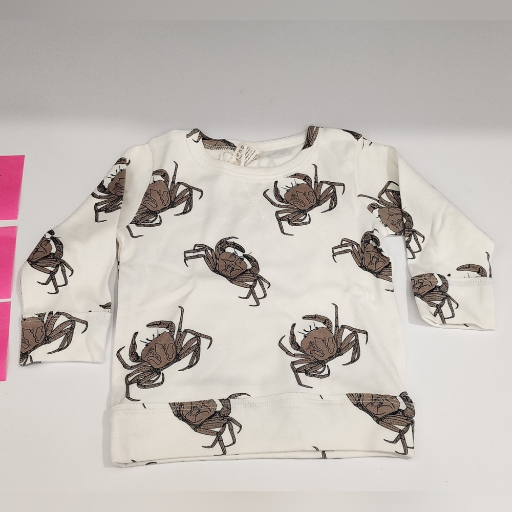 NWT Kate Quinn ls essential crew neck tee | mocha crab |organic cotton interlock
